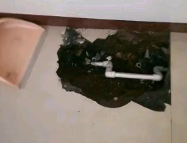 阿拉尔卫生间测漏水多少钱